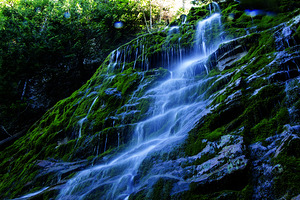 Les tropiques en Gaspesie