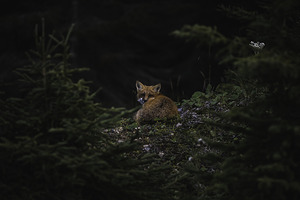 Un soir de septembre