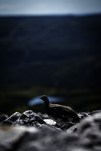 Beyond - a Valley III