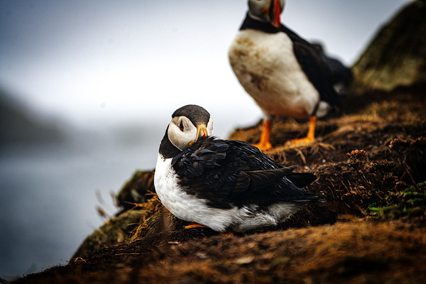 Just a little relaxation by Francois Lapointe