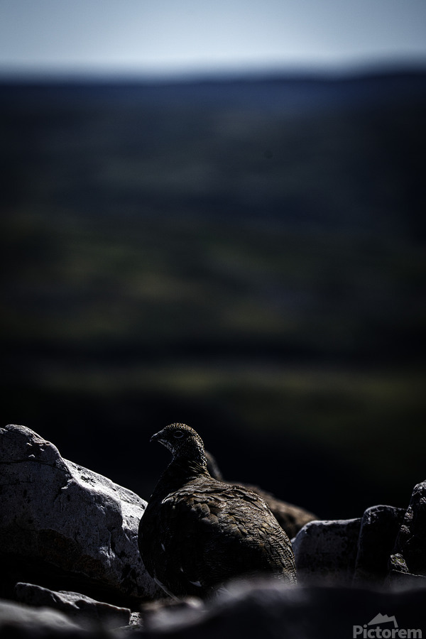 Beyond - a Valley II  Print