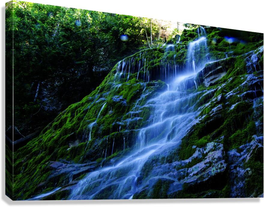 Les tropiques en Gaspesie Canvas Print