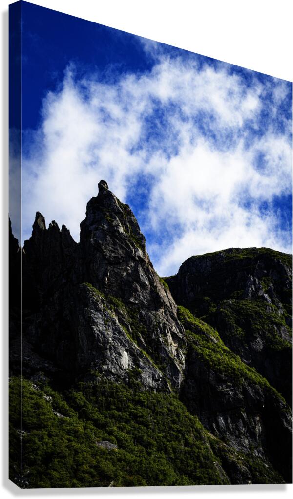 Pretty Cliff VI Canvas Print