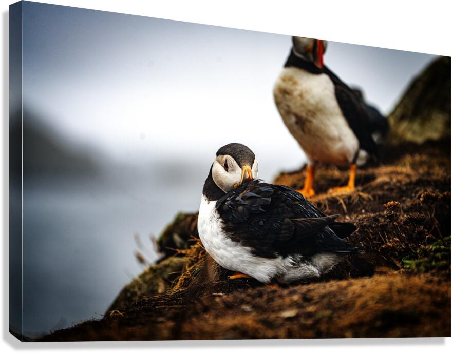 Just a little relaxation Canvas Print