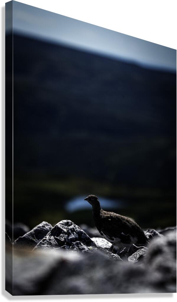 Beyond - a Valley III Canvas Print