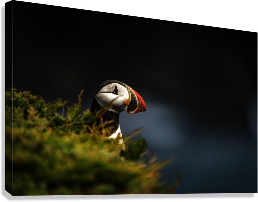 Almost Camo Canvas Print