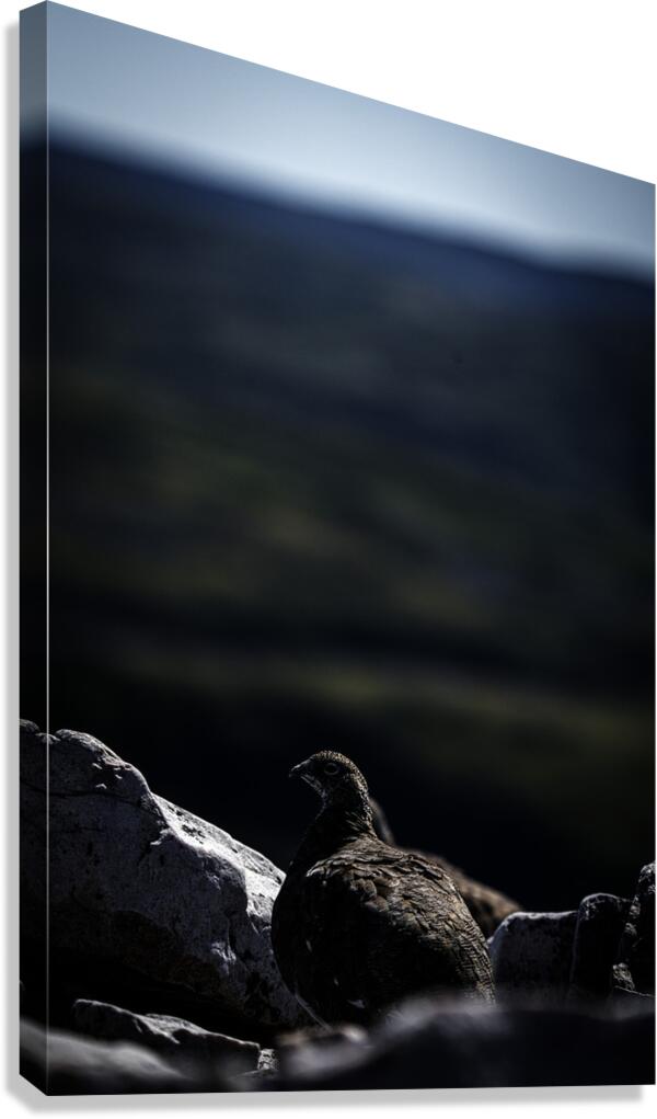 Beyond - a Valley II Canvas Print