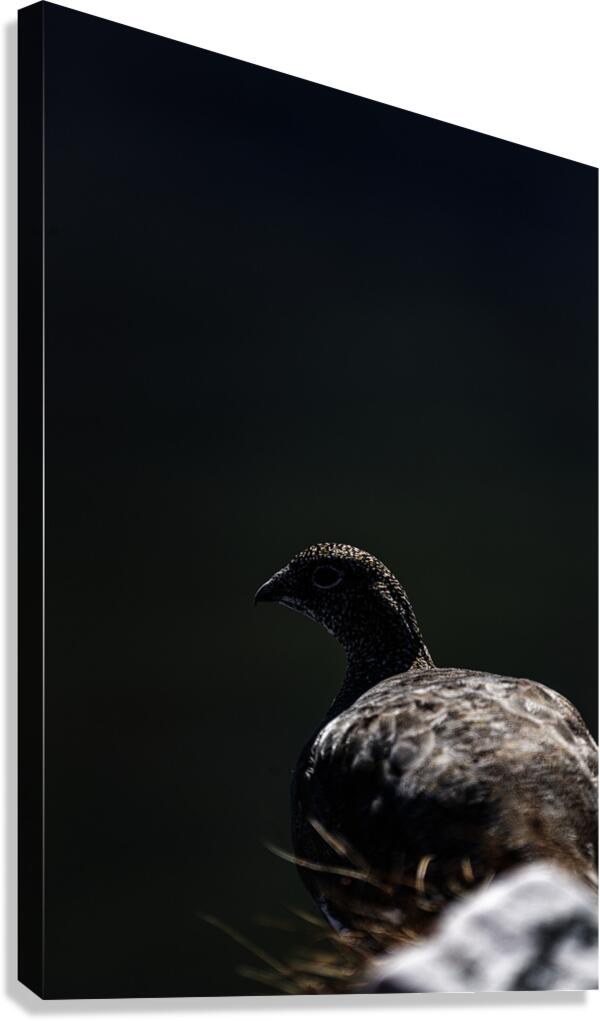 Beyond - a Valley Canvas Print