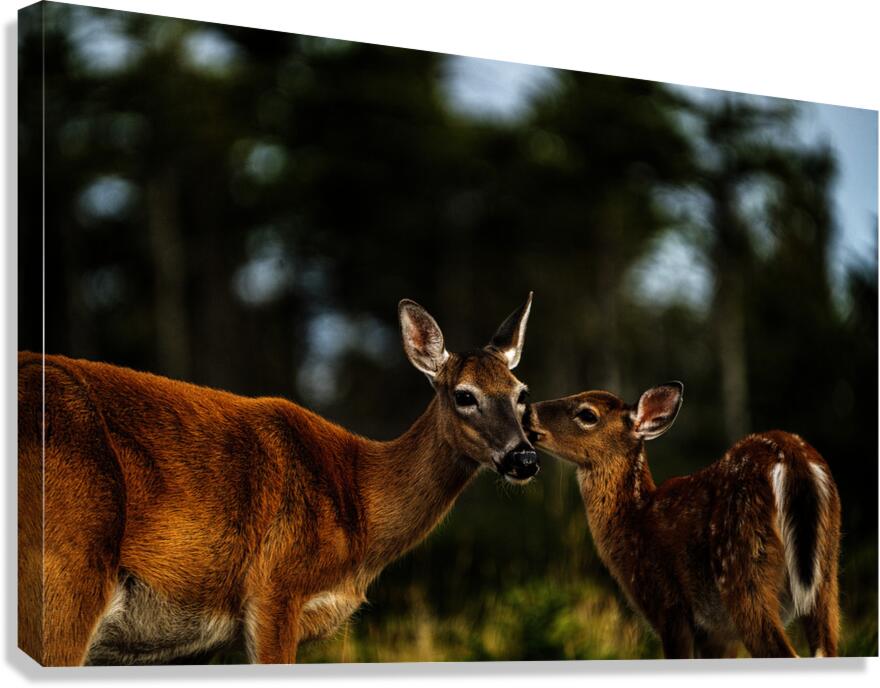 Mother Nature I Canvas Print