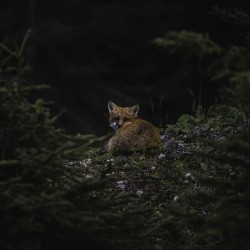 Un soir de septembre