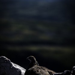 Beyond - a Valley II