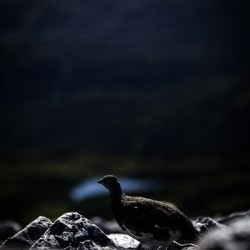 Beyond - a Valley III