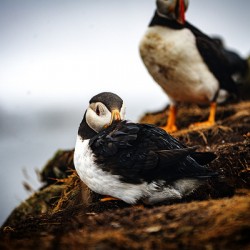 Just a little relaxation