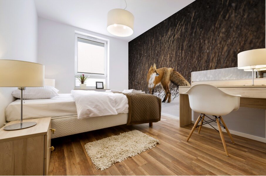 Renard dEeyou Istchee Mural print