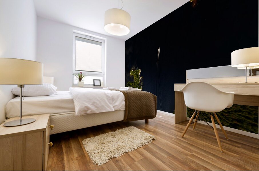 Les belles eaux noires Mural print