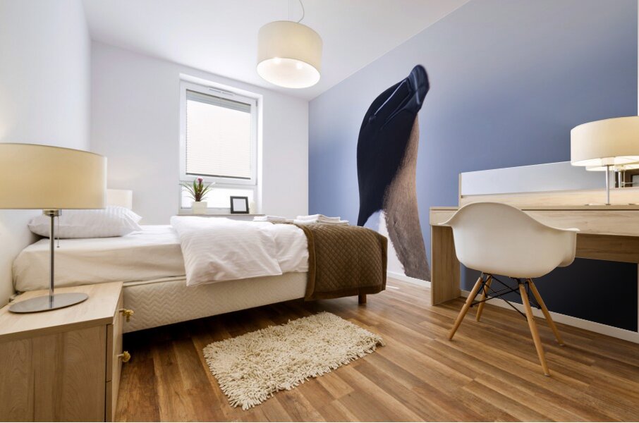 Bec de rasoir Mural print