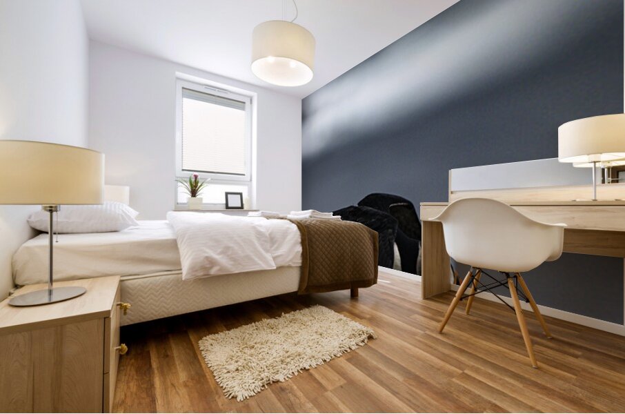 Off the Cliff it went Mural print