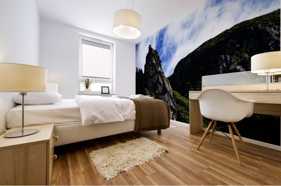 Pretty Cliff VI Mural print