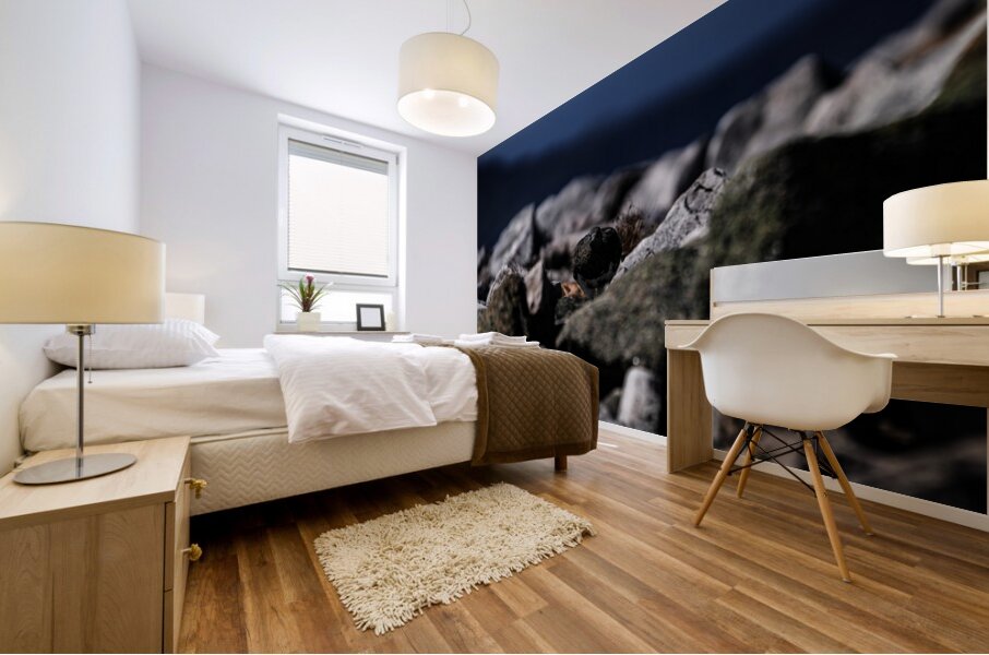 Hard as Rock Mural print