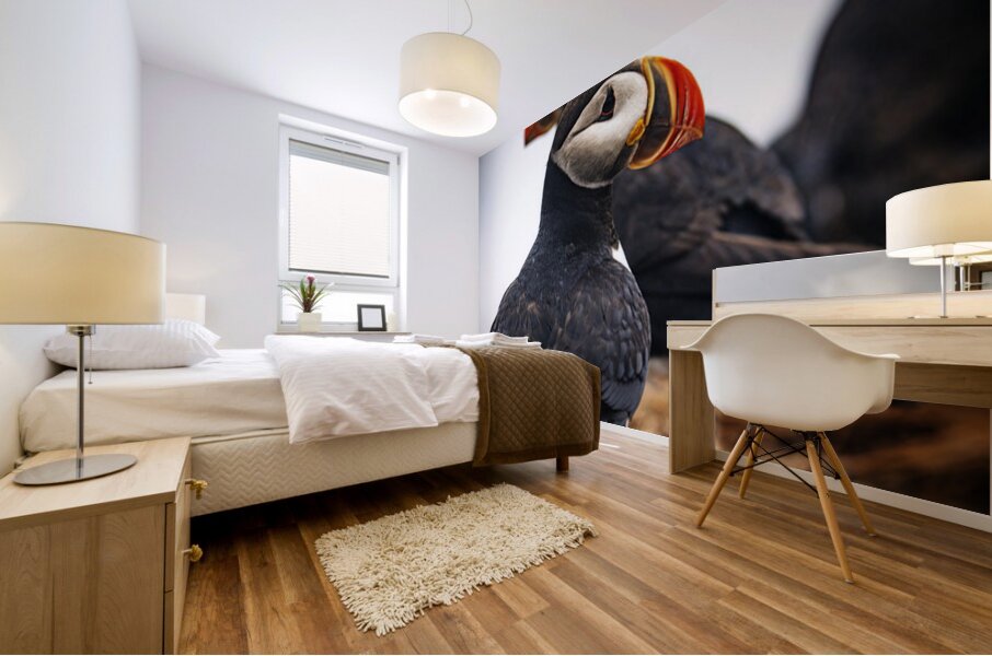 Chilling Puffin III Mural print