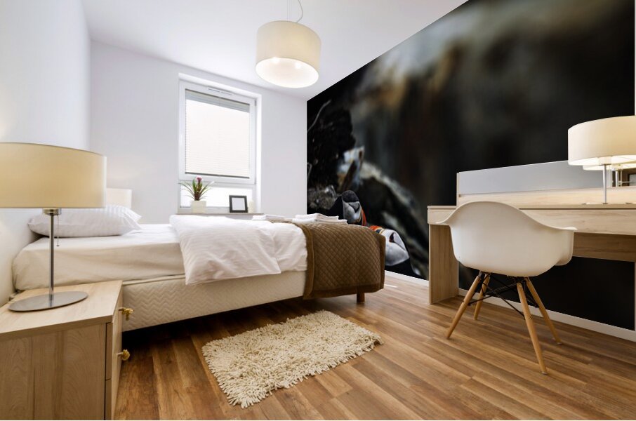 Kissing or Fighting is the question Mural print