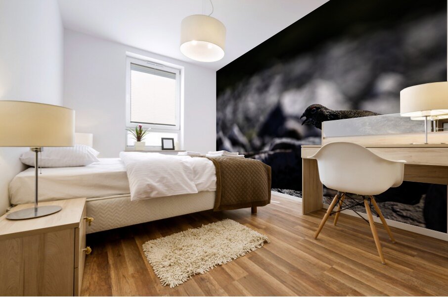 Baritone Bird II Mural print