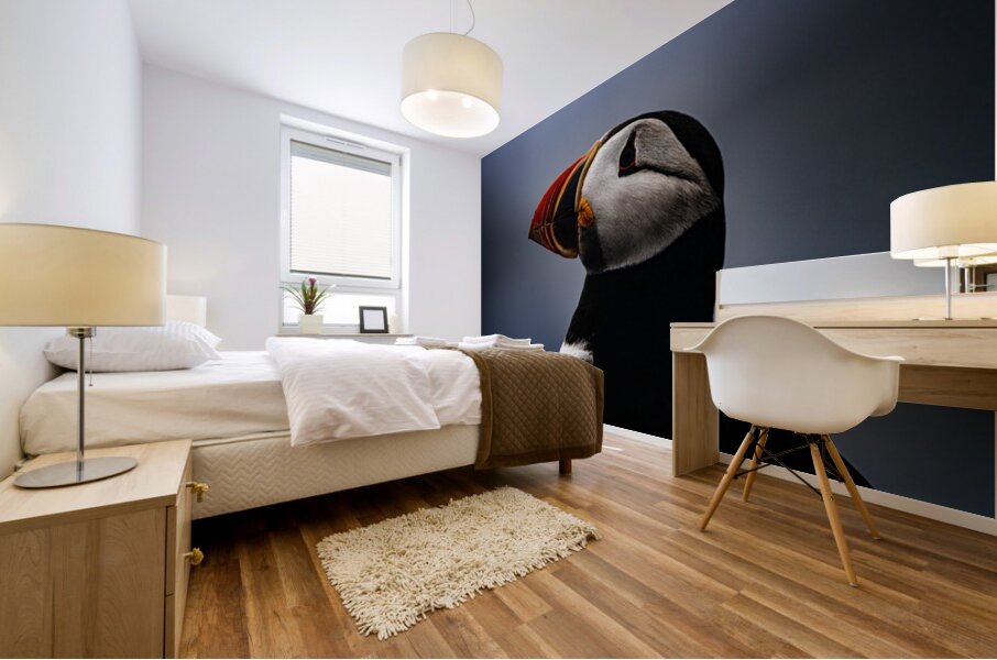 My best shot ever  Mural print