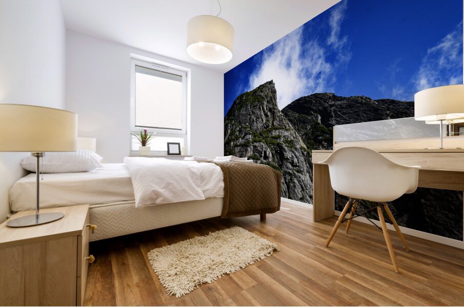 Pretty Cliff III Mural print