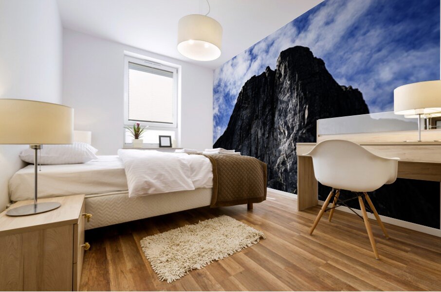 Pretty Cliff I Mural print