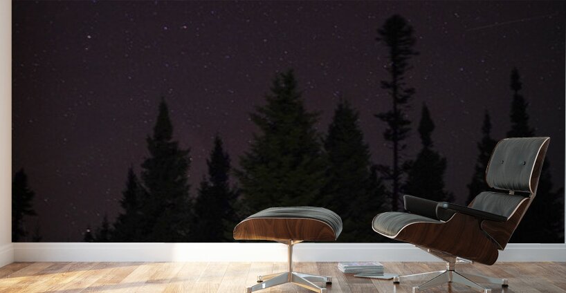 Entre deux chasses Wall Murals