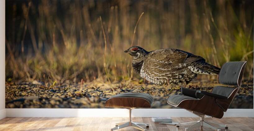 Un matin apres la chasse Wall Murals