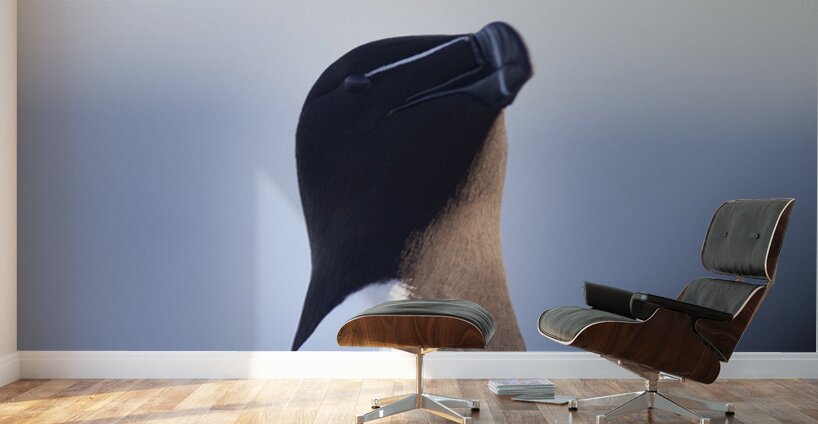 Bec de rasoir Wall Murals