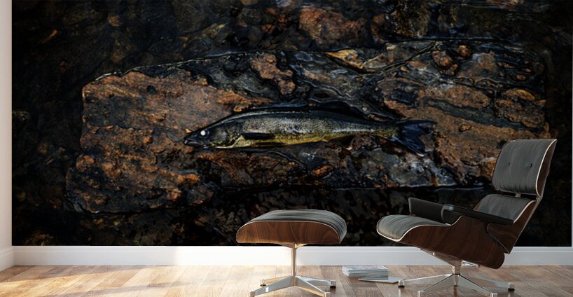 La grosse prise Wall Murals