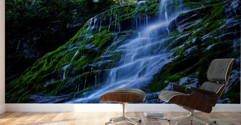 Les tropiques en Gaspesie Wall Murals