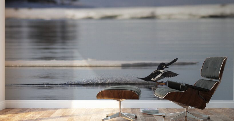 Surf mode Wall Murals