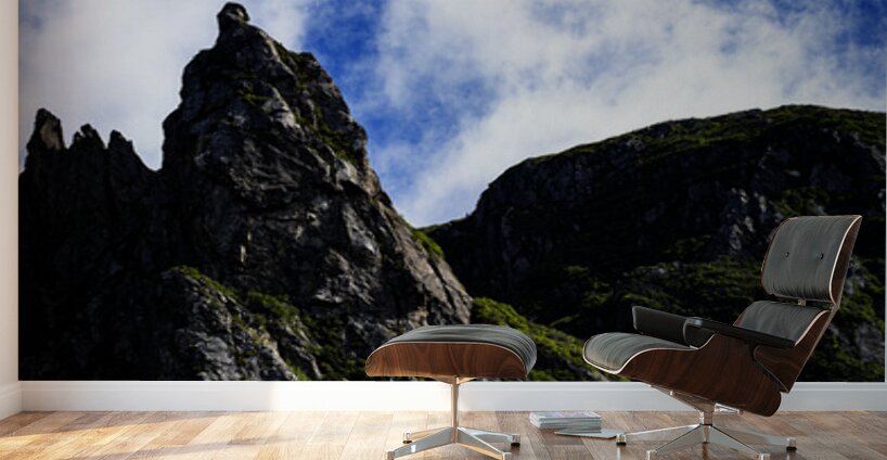 Pretty Cliff VI Wall Murals