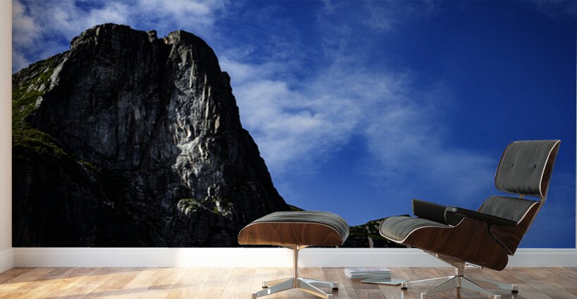 Pretty Cliff V Wall Murals