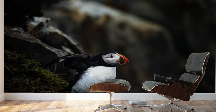 Shake the fog off Wall Murals