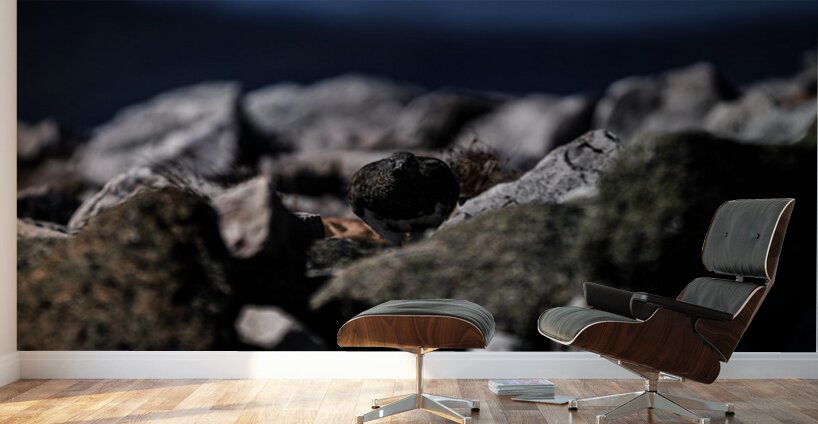 Hard as Rock Wall Murals