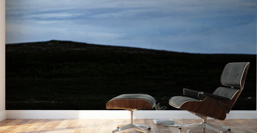 Southern Tundra Bull III Wall Murals