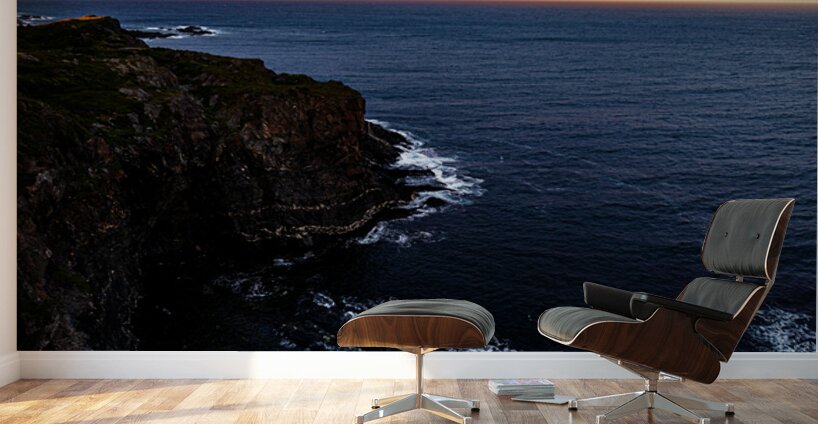 Terra Nova Wall Murals