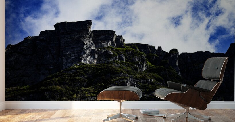 Pretty Cliff VII Wall Murals