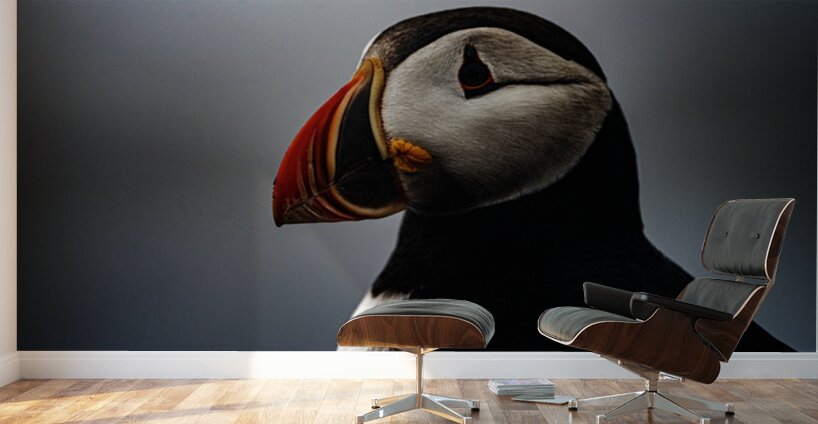 Sea Parrot III Wall Murals