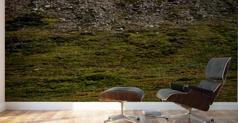 No Santa in Sight Wall Murals