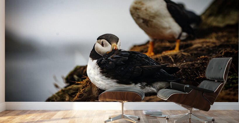 Just a little relaxation Wall Murals