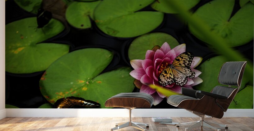 Butterflies and Lilies  Wall Murals