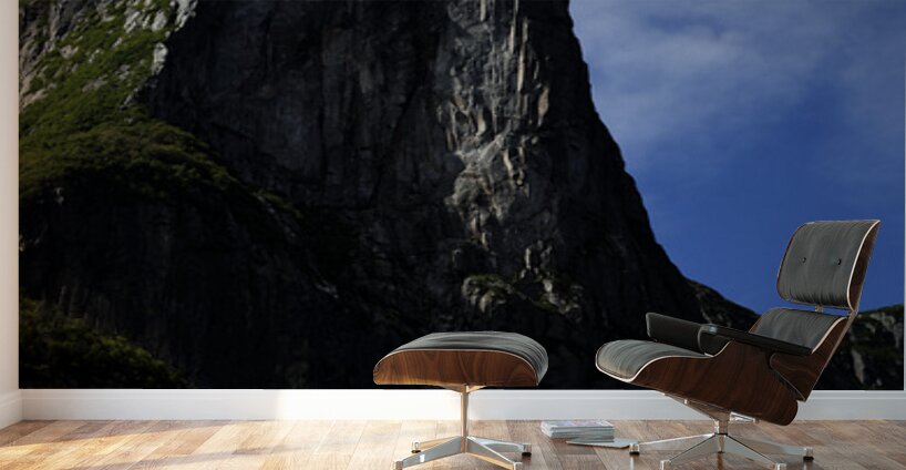 Pretty Cliff IV Wall Murals