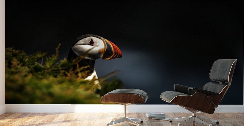 Almost Camo Wall Murals