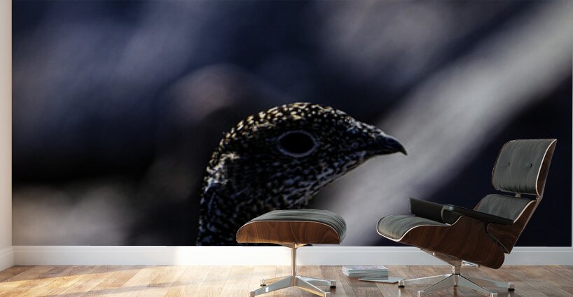 Hard as Rock III Wall Murals