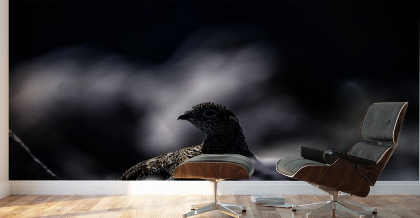 Hard as Rock II Wall Murals